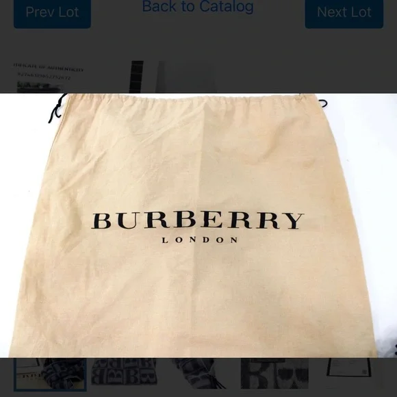 Authentic Burberrys of London Cashmere Scarf with Dust Bag. Includes a COA